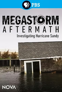 Megastorm Aftermath - Poster / Capa / Cartaz - Oficial 2
