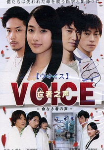 Voice (Voice)
