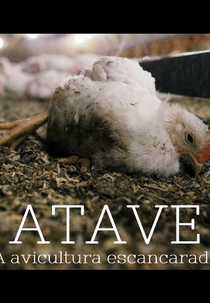 Atave: A Avicultura Escancarada (Atave: A Avicultura Escancarada)