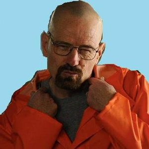 Foto de perfil de Walter White