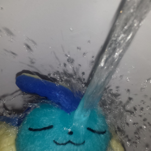 Foto de perfil de Barbara