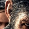 Resenha: Planeta dos Macacos: A Guerra | Mundo Geek
