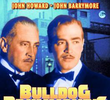 A Vingança de Bulldog Drummond