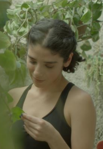 Aquí y ahora (Aquí y ahora)