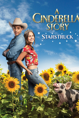 Poster 1 de Filme A Nova Cinderela: Superstar (2021)