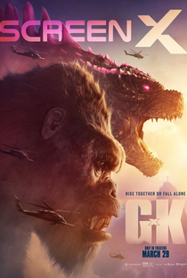 Godzilla e Kong: O Novo Império - Poster / Capa / Cartaz - Oficial 12