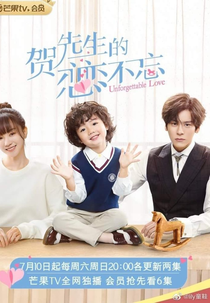 Unforgettable Love (贺先生的恋恋不忘)