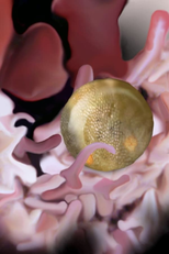 Those Crazy Insides (Those Crazy Insides)