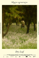 Folha Seca (Xmeli Potoli)