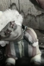 Little June (Little June)