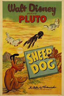 Sheep Dog - Poster / Capa / Cartaz - Oficial 1