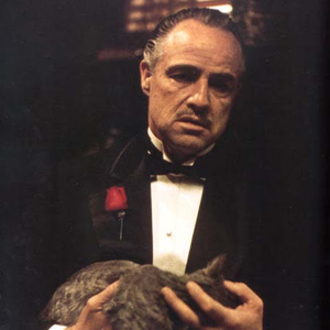 Foto de perfil de Don Vito Rare Movies