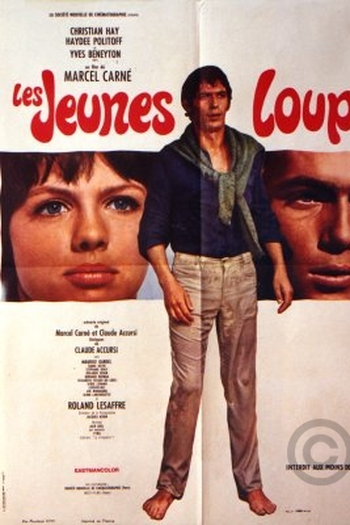 Poster de Filme Les Jeunes Loups (1968)