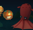 The Vampire Squid