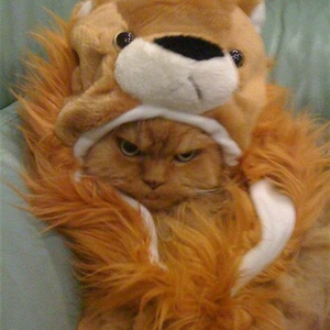 Foto de perfil de Julyanne