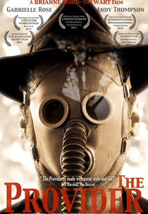 The Provider (The Provider)