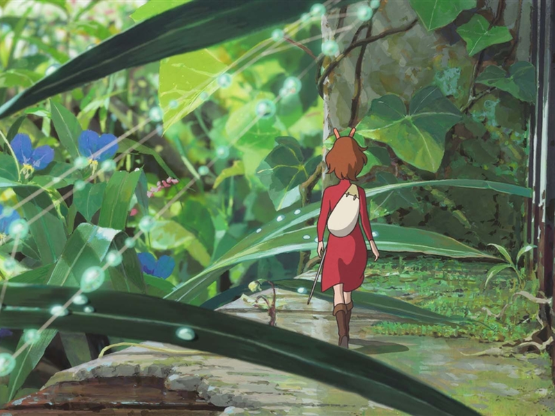 Foto 2 de O Mundo dos Pequeninos