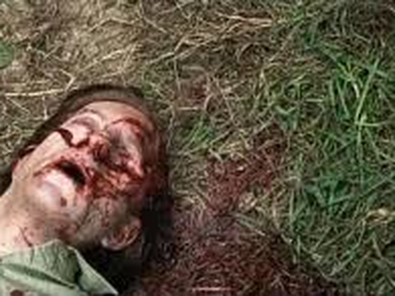 Foto 13 de La belle bête  