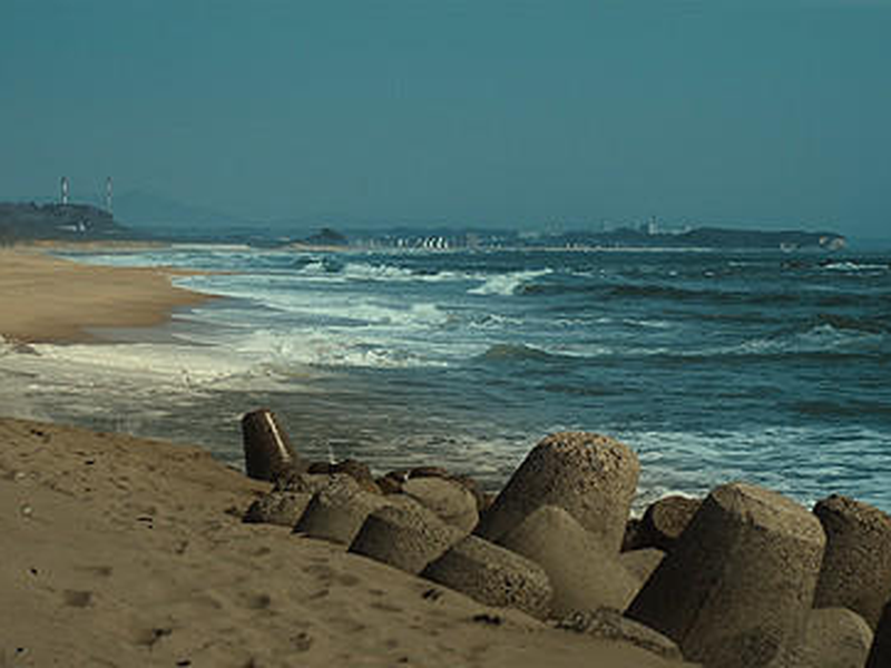 Foto 2 de Cold Bloom