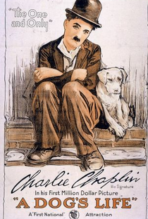 Vida de Cachorro - Poster / Capa / Cartaz - Oficial 1