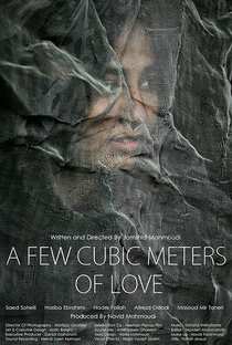 A Few Cubic Meters of Love - Poster / Capa / Cartaz - Oficial 2