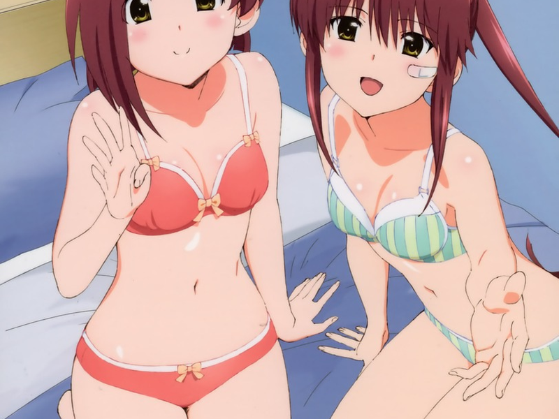 Foto 4 de Kiss×sis (OVA)