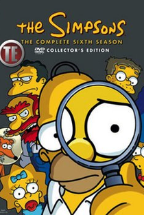 Os Simpsons (6ª Temporada) - Poster / Capa / Cartaz - Oficial 1
