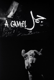 A Camel - Poster / Capa / Cartaz - Oficial 1