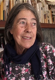 Pelas Sombras (Through shadows)