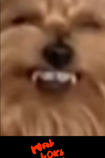 Poster de Série HalloKlebs - 2024 (2024)