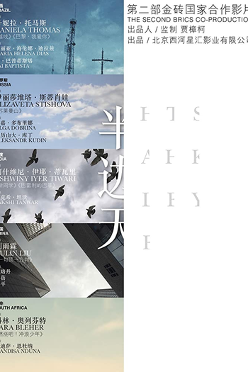 Poster de Filme Metade do Céu (2018)