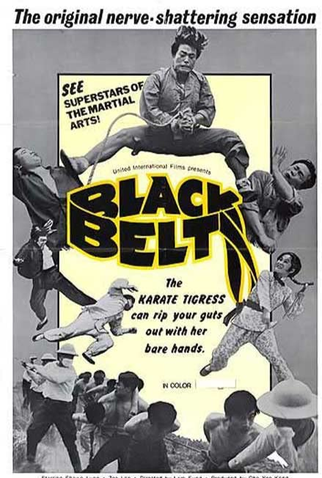 Poster 1 de Filme The Black Belt (1973)