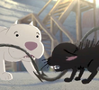 Kitbull	