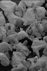 Ellis Island (Ellis Island)