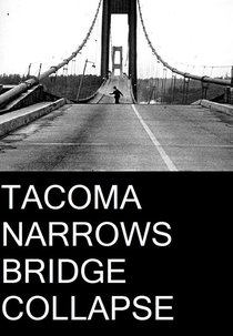 Tacoma Narrows Bridge Collapse (Tacoma Narrows Bridge Collapse)