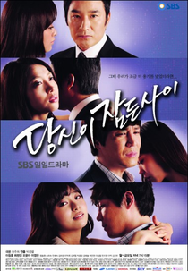 While You Were Sleeping (당신이 잠든 사이)