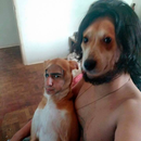 Foto de perfil de Guilherme C Rocha