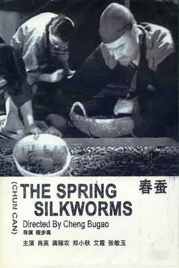 Poster de Filme The Spring Silkworms (1933)