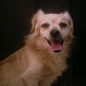 Foto de perfil de Antonia C.
