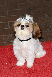 Bonny (IV) - Poster 1