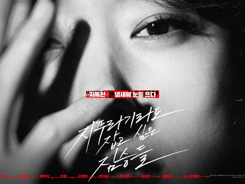 Foto 6 de Golpe de Sorte