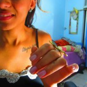 Foto de perfil de Hannah de Vasconcellos
