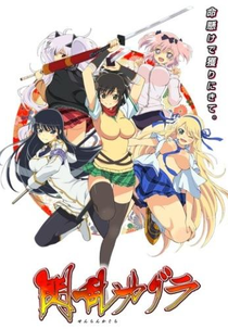 Senran Kagura (1ª Temporada) (閃乱カグラ)